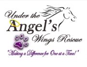 Under the Angel's Wings Rescue, Inc.