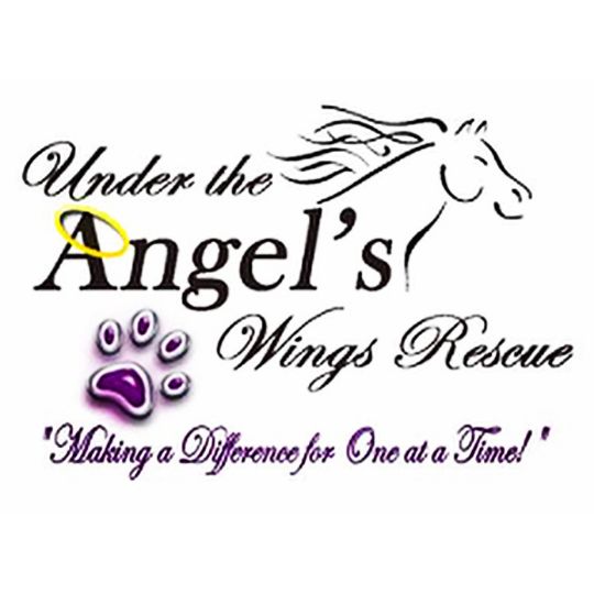 Under the Angel's Wings Rescue